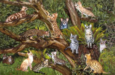 BengalTree